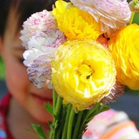 Портфолио Khadija Ghzaiel